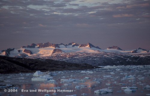 Berge am späten Abend im Johan Petersen Fjord